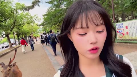 돌민2 - [클립]??일본여행 4일차 나라공원