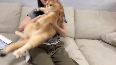 67.3kg - 꾸꾸 발바닥 털 밀기 대성공