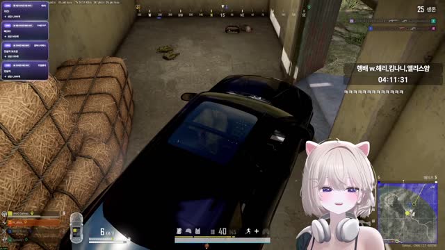 달묘 도르마무 [버컴]