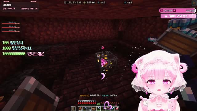 [캐치]호다닥