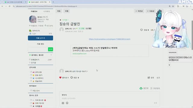 [클립]급발진 짐승바밍 보는 킴나니
