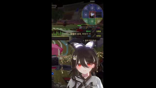 [캐치]분노의 한타하는 킹냥이