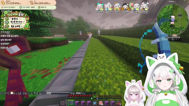 [캐치]솜주먹에게 하이루냥 소개시키기