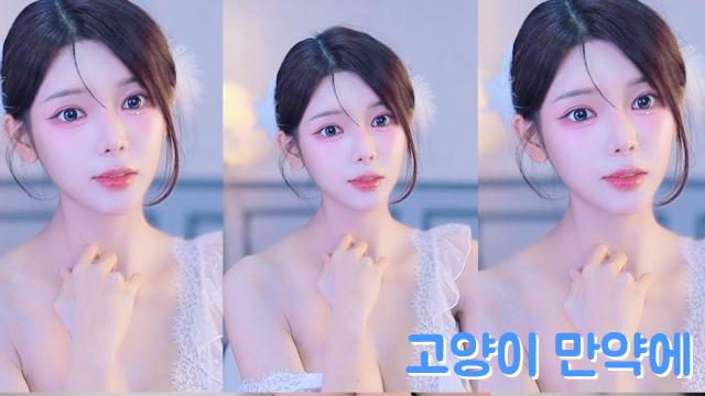 우리 양이를 위한 세레나데 (만약에)