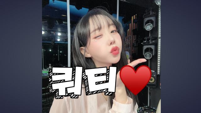 쿼티는 잉플