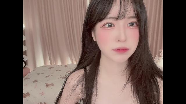 To. 시바이누coin