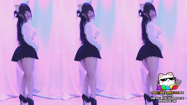 [클립]하냥이터미널_20250411
