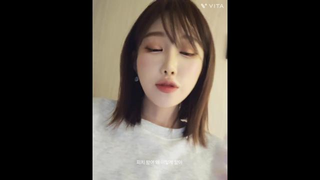 쥬아 애완견 피츠
