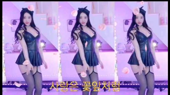 사랑은 꽃잎처럼