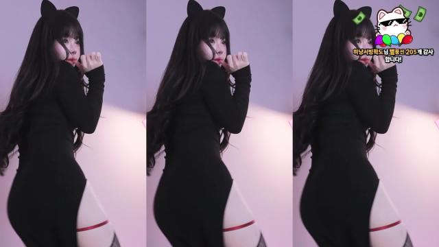 [클립]하냥이터미널_20250813