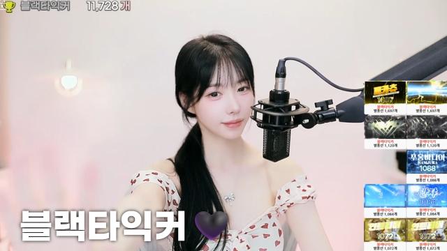 [블랙타익커:11,728]