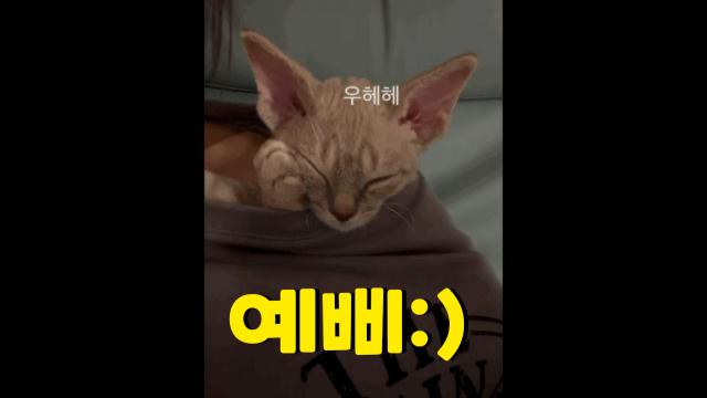 응뉴네 예삐 허덥뮤비 2 ㅎㅎㅎㅎ