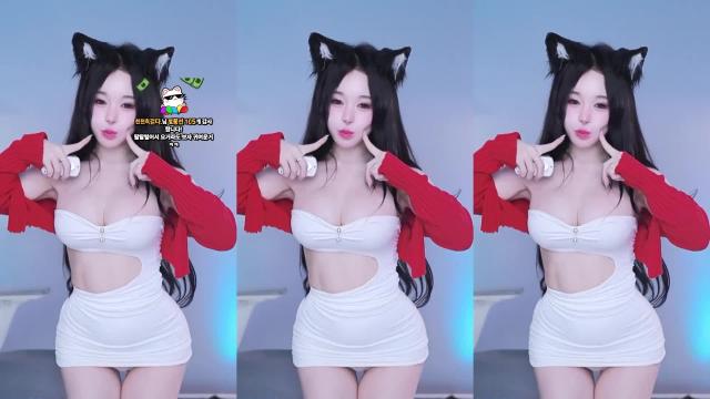 [클립]하냥이뾱뾱이_20250821