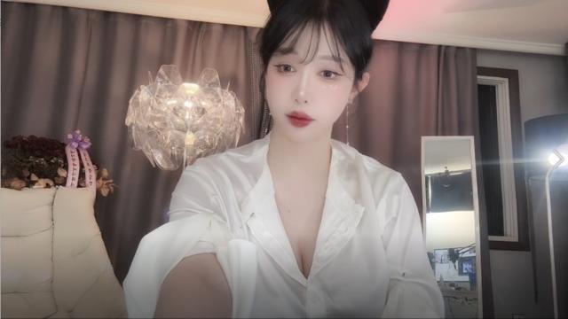 내고양고양이야