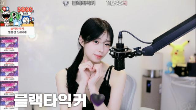 [블랙타익커11,292]