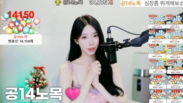[공14노목34,095]