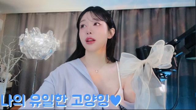 세번째 너에게 보내는 편지 (고양잉)