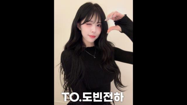 도빈전하