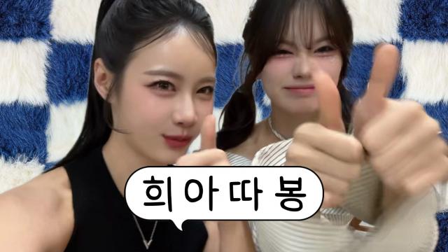 해적단의 따봉오빠