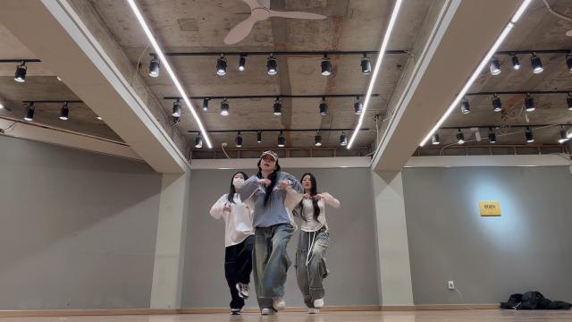 [팀진우:신입] 바비지니 10044시그 x 밥시츄