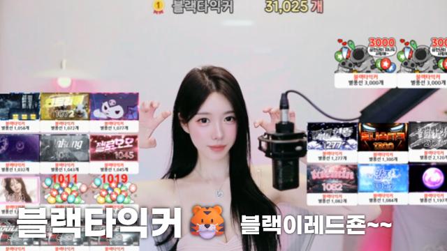 [블랙타익커31,025]