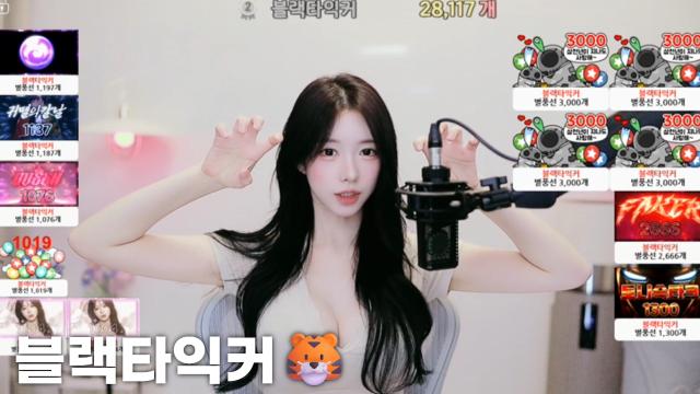 [블랙타익커28,117]
