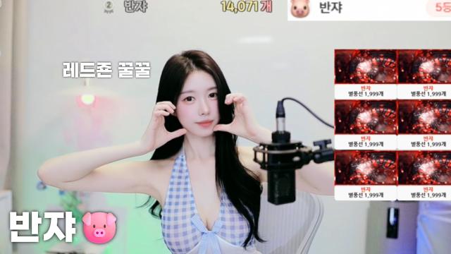 [반쟈14,071]