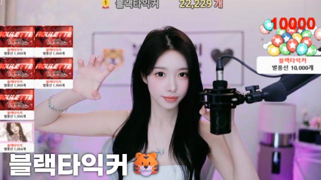[블랙타익커22,229]