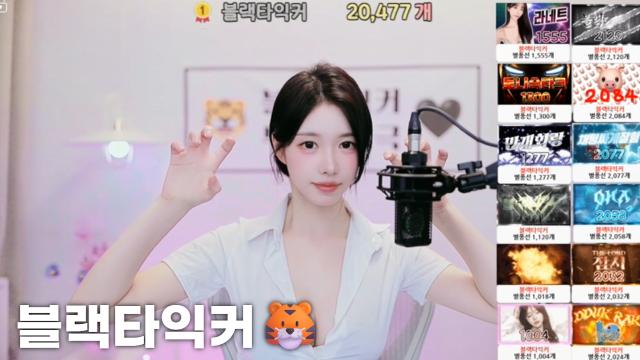 [블랙타익커20,477]
