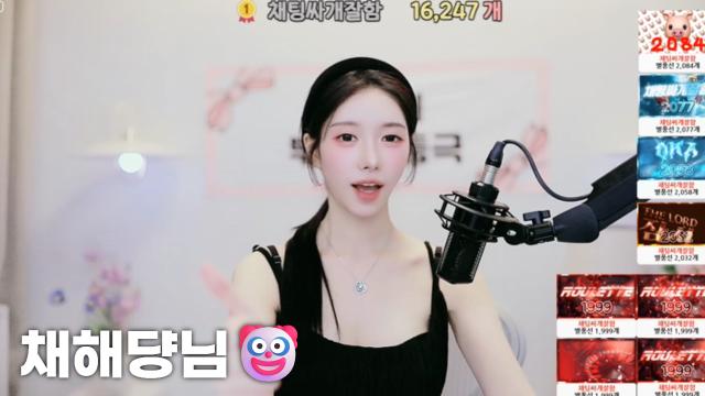 [채해댱님16,247]