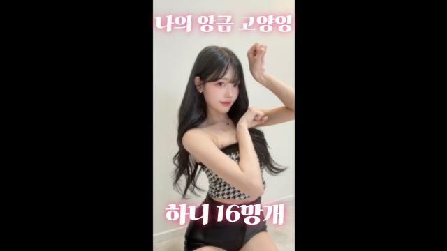 하니캣 나의 앙큼 고양이에게
