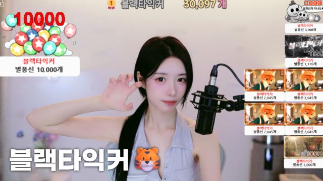 [블랙타익커30,097]