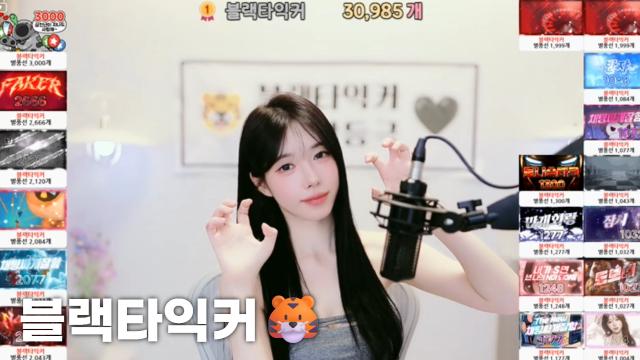 [블랙타익커30,985]