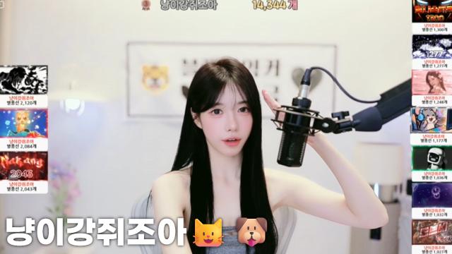 [냥이강쥐조아14,344]