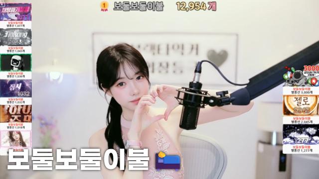 [보둘보둘이불12,954]