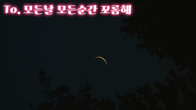 To. 한결같은 나의전하(쌩얼 미안해요)
