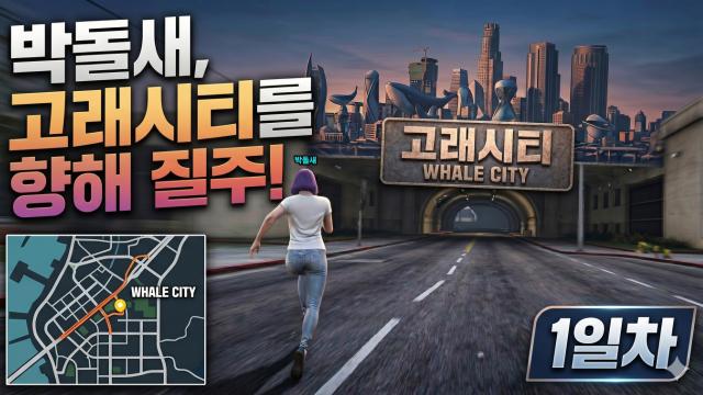 고래시티 박돌새의 하루 1일차