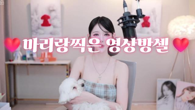 도--------끼