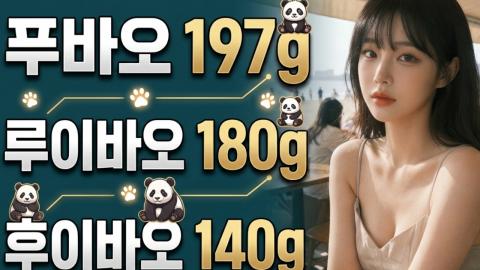 캐치소녀 - 푸바오 197g 루이바오180g 후이바오 140g _20260610