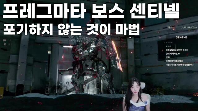 이유란 - 프레그마타 보스 센티넬