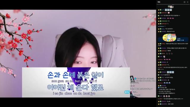 [6/27새벽수이콘 내수영상3] 안예은 홍연