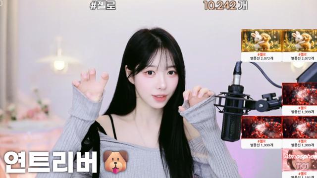 [연트리버10,242]