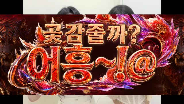 용병데이 어흥이가요!?!?