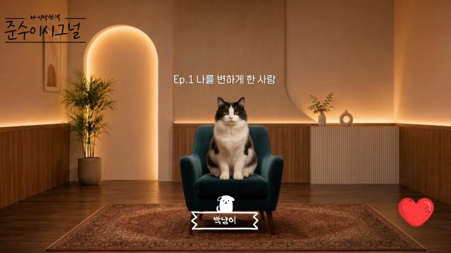 [준수이M/V] 준수이시그널 :  이무진_청혼하지 않을 이유를 못 찾았어 