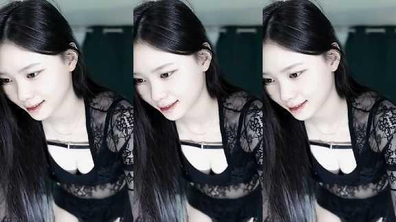 캠리 - 펑티모 고양이 송
