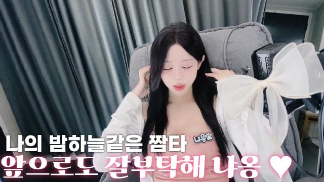 넌 낵거다 고양아 