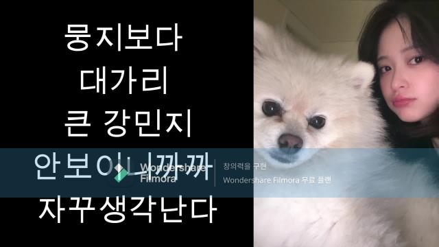 빵귤이에게
