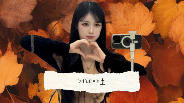 팀진우의 거제야호